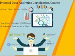 Data Analytics Certification Course in Delhi,11002