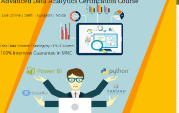 Data Analytics Certification Course in Delhi,11002