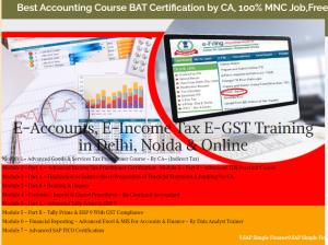 E-Accounting Course in Delhi, 110034, SAP FICO