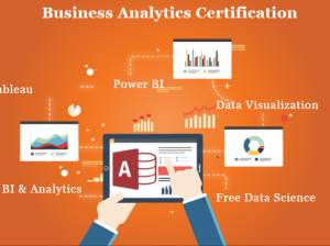 Business Analytics Certification Course in Delhi,
