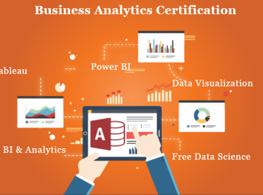Business Analytics Certification Course in Delhi,