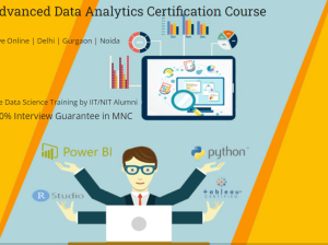 Data Analytics Training Course in Delhi, 110002.