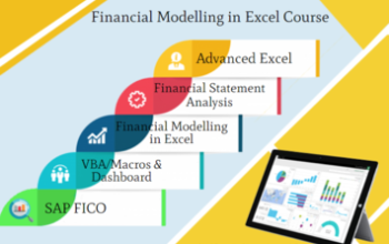 Financial Modelling Training Course in Delhi, 1100